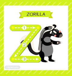 Letter Z Uppercase Tracing Zorilla