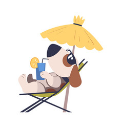 Cute Dog Pet Sunbathing Under Straw Umbrella