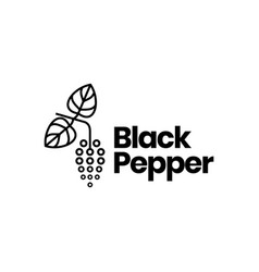 Black Pepper Leaves Plant Spice Taste Recipe Food