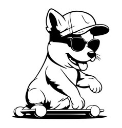 Shiba Inu Dog Riding A Skateboard