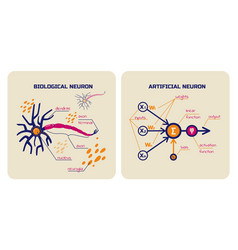 Visual Schemes Of Biological And Artificial