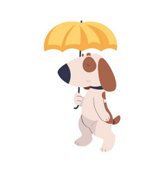 Cute Dog Pet Walking Under Yellow Umbrella