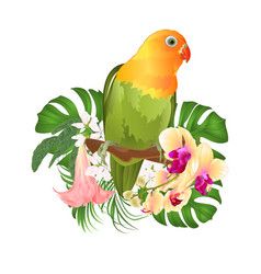 Parrot Agapornis Lovebird Tropical Bird