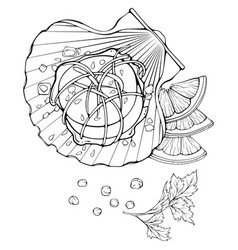 Scallop Sea Food Line Art