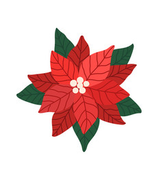 Red Poinsettia Flower With Green Leaves