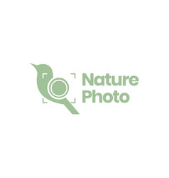 Photographer Wild Nature Bird Shutter Camera