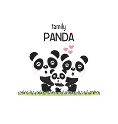 Cute Panda Family Father Mother And Baby