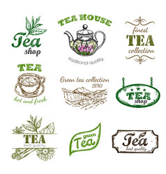 Sketch Tea Logo Set