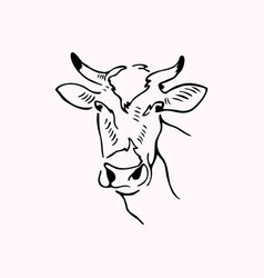 Cow Head Face Logo Design On White Background