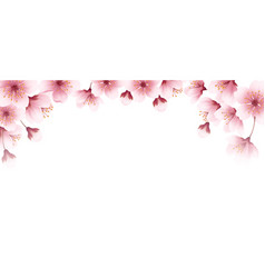 Floral Spring Cherry Flowers Blossom Border