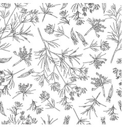 Cumin Or Caraway Plant Seamless Pattern Hand Drawn