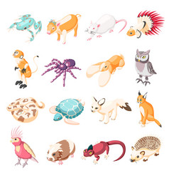 Exotic Pets Isometric Icons