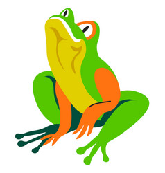 Tropical Frog Exotic Wildlife Reptile Animals