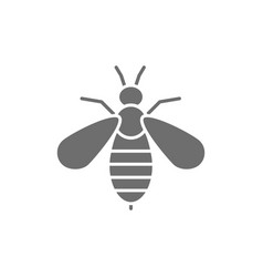 Bee Venom Therapy Grey Icon Isolated On White