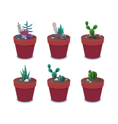 Cactuses In Red Pots Set