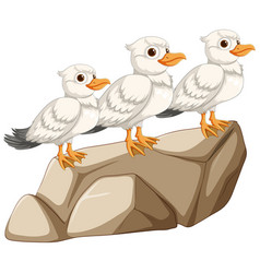 Three Birds On A Stone