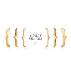 Set Of Different Style Golden Curly Braces