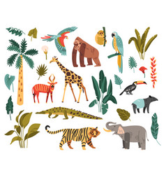 Jungle Habitat Icon Set