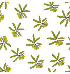 Shea Tree Branches Seamless Pattern