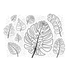 Monstera Tropical Leaves Doodle Set