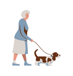 Old Woman Walking A Dog Senior Lady With Basset