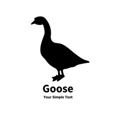 A Pet Goose