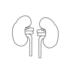 Kidney Icon