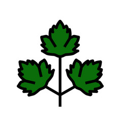 Parsley Salad Food Color Icon