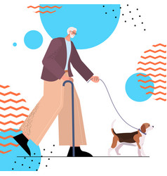 Senior Man With Cane Walking With His Little Dog