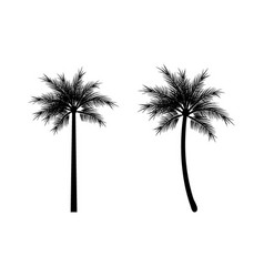 Palm Tree Logo Tree Icon Black Color