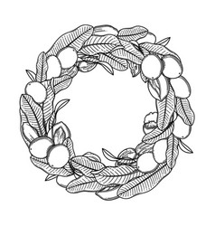 Graphic Shea Wreath Isolated On White Background