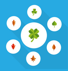 Icon Flat Leaves Set Of Frond Hickory Leaf