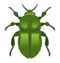 Large Green Dung Beetle