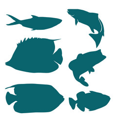 Kind Of Sea Fish Silhouette Collections