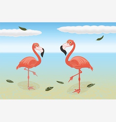 Stoic Flamingos