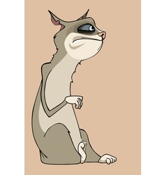 Cartoon Funny Cat Sitting Sideways And Looking