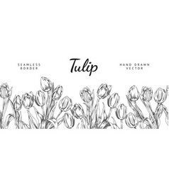 Tulip Flowers Seamless Border Hand Drawn Sketch