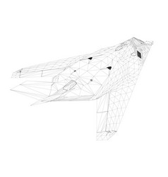 Wireframe A Modern Fighter Jet From Black Lines