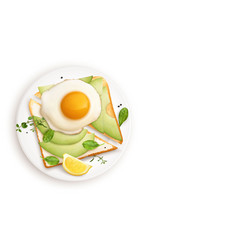 Avocado Egg Toast Composition