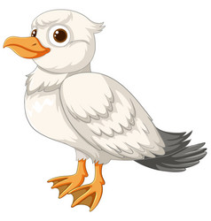 A Cute Seagull Character