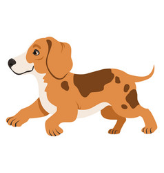 Cute Puppy Running Active Cartoon Beagle Dog