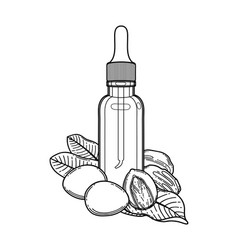 Graphic Oil Bottles Surrounded Shea Plants