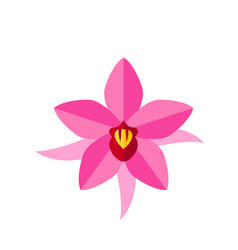 Pink Brazil Lily Icon