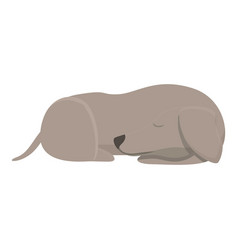 Greyhound Sleep Icon Cartoon Animal Dog