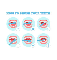 Step-by-step Scheme Instructions On How To Brush