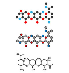 Gentamicin Antibiotic Drug Aminoglycoside Class