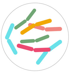 Petri Dish With Bacteria On White Background