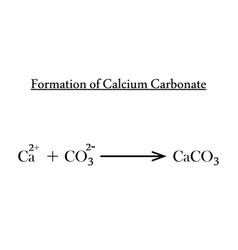 Formation Of Calcium Carbonate