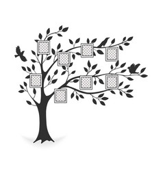 Family tree with photo frames Royalty Free Vector Image