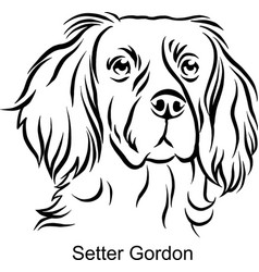 Setter Gordon Portrait Dog In Line Style - Pet